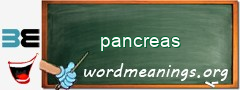 WordMeaning blackboard for pancreas